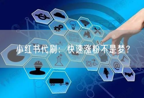 小红书代刷：快速涨粉不是梦？
