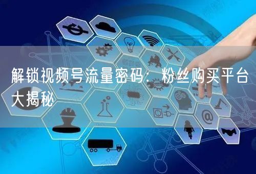 解锁视频号流量密码：粉丝购买平台大揭秘