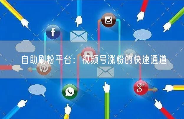 自助刷粉平台：视频号涨粉的快速通道