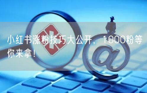 小红书涨粉技巧大公开，1000粉等你来拿！