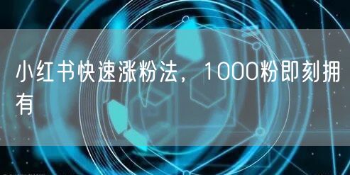 小红书快速涨粉法，1000粉即刻拥有