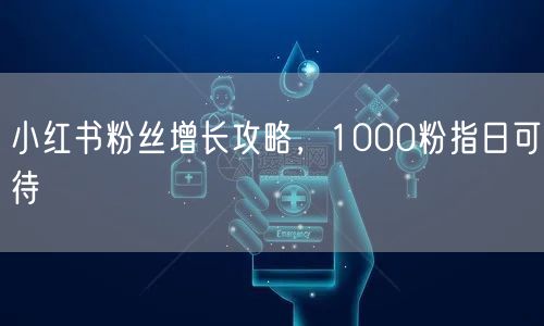 小红书粉丝增长攻略，1000粉指日可待