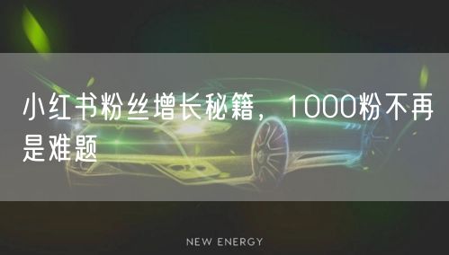 小红书粉丝增长秘籍，1000粉不再是难题