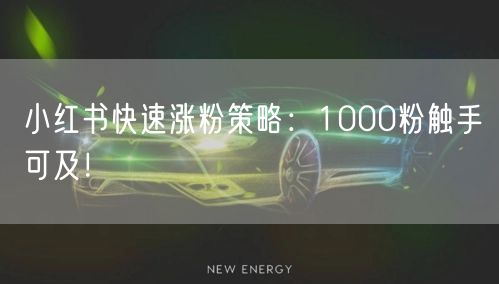 小红书快速涨粉策略：1000粉触手可及！