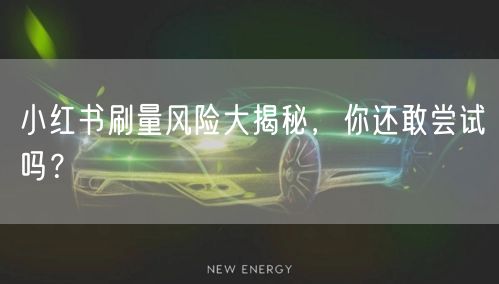 小红书刷量风险大揭秘，你还敢尝试吗？