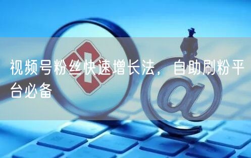 视频号粉丝快速增长法，自助刷粉平台必备