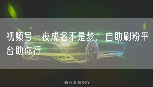 视频号一夜成名不是梦，自助刷粉平台助你行