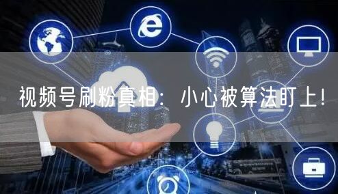 视频号刷粉真相：小心被算法盯上！