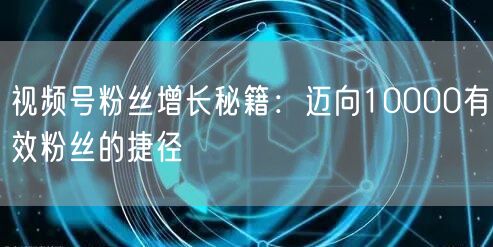 视频号粉丝增长秘籍：迈向10000有效粉丝的捷径