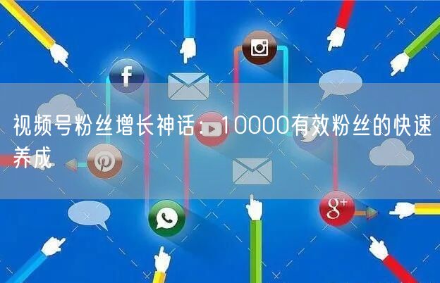 视频号粉丝增长神话：10000有效粉丝的快速养成