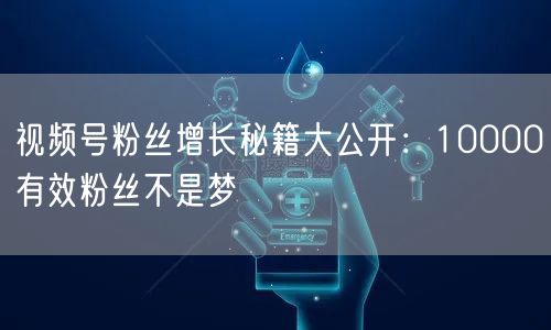 视频号粉丝增长秘籍大公开：10000有效粉丝不是梦