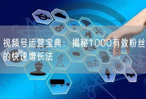 视频号运营宝典：揭秘1000有效粉丝的快速增长法