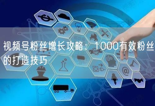 视频号粉丝增长攻略：1000有效粉丝的打造技巧