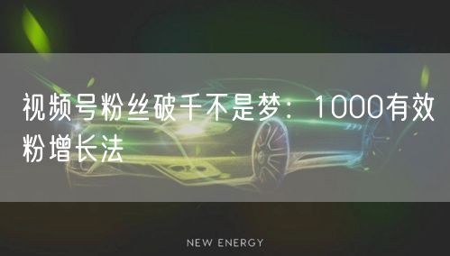 视频号粉丝破千不是梦：1000有效粉增长法