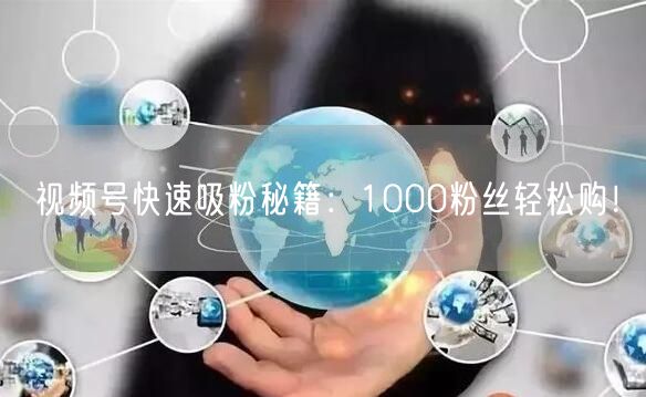 视频号快速吸粉秘籍：1000粉丝轻松购！