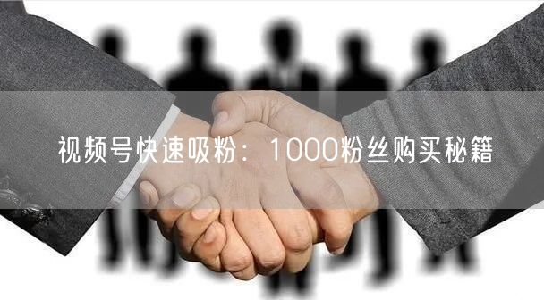 视频号快速吸粉：1000粉丝购买秘籍