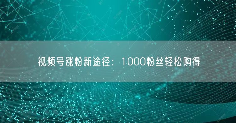 视频号涨粉新途径：1000粉丝轻松购得