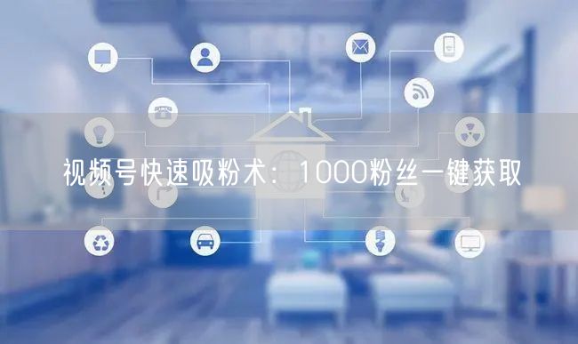 视频号快速吸粉术：1000粉丝一键获取