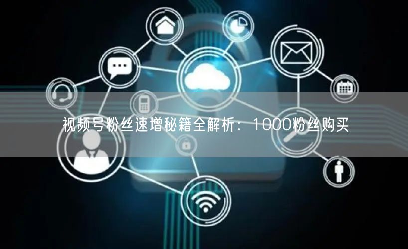 视频号粉丝速增秘籍全解析：1000粉丝购买
