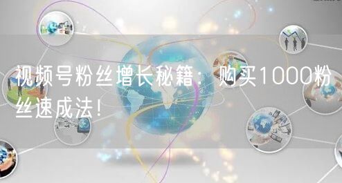 视频号粉丝增长秘籍：购买1000粉丝速成法！