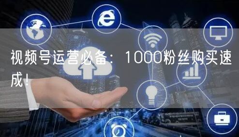 视频号运营必备：1000粉丝购买速成！