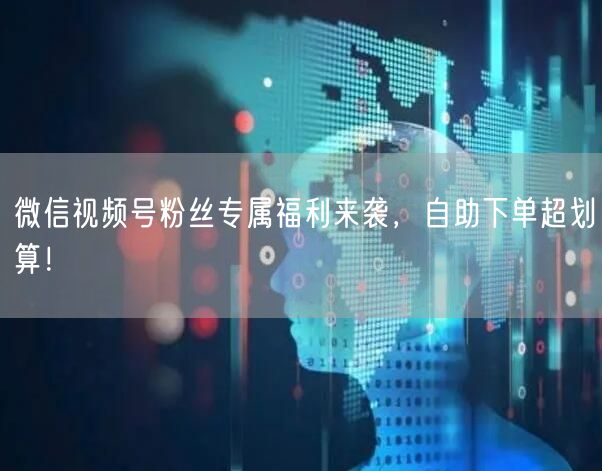 微信视频号粉丝专属福利来袭，自助下单超划算！